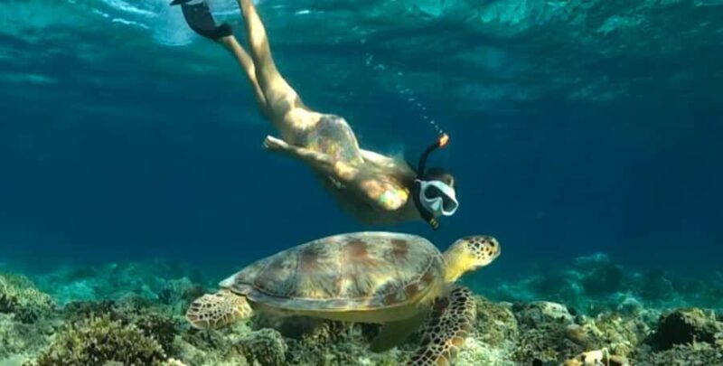 Exclusive 5 Secret Gilis: Snorkeling & Island Hopping - Who Is This Tour Best For?