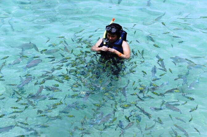 Exclusive 7 bays of Huatulco by Panga Boat or Yacht. - Good To Know