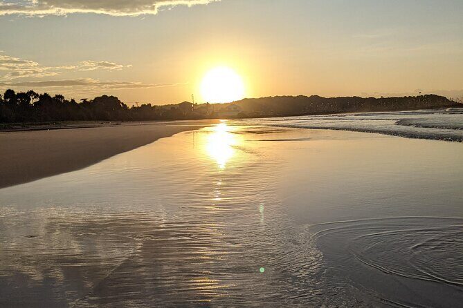 Exclusive 8 Day Heritage, Nature and Beaches Journey in Sri Lanka - Practical Insights and Value