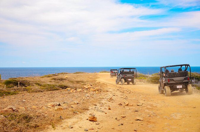 Exclusive Aruba UTV Rentals - The Review Insights: Authentic Experiences