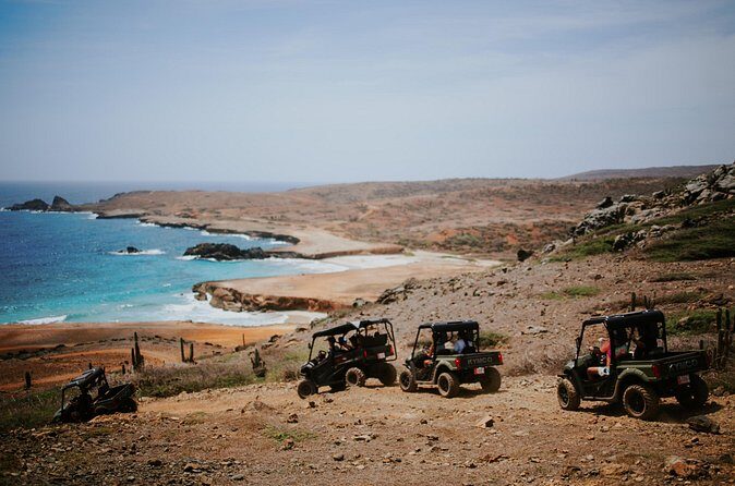 Exclusive Aruba UTV Tours - Who Will Love This Tour?