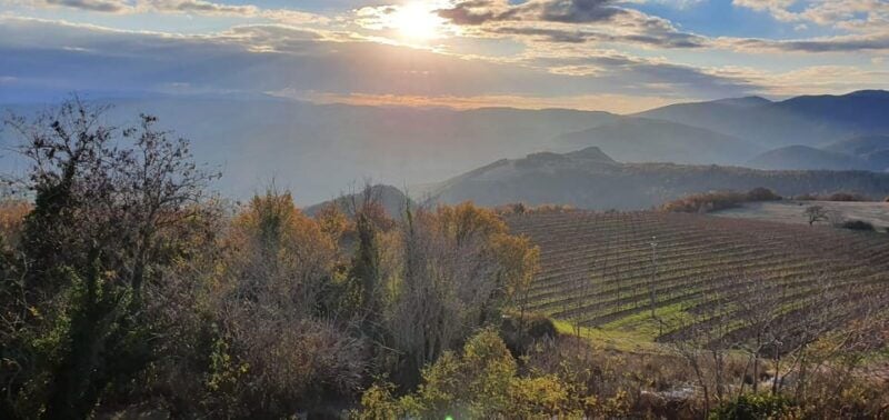 Exclusive Assisi and Sagrantino di Montefalco Wines - Exploring the Exclusive Assisi and Sagrantino di Montefalco Wines Tour
