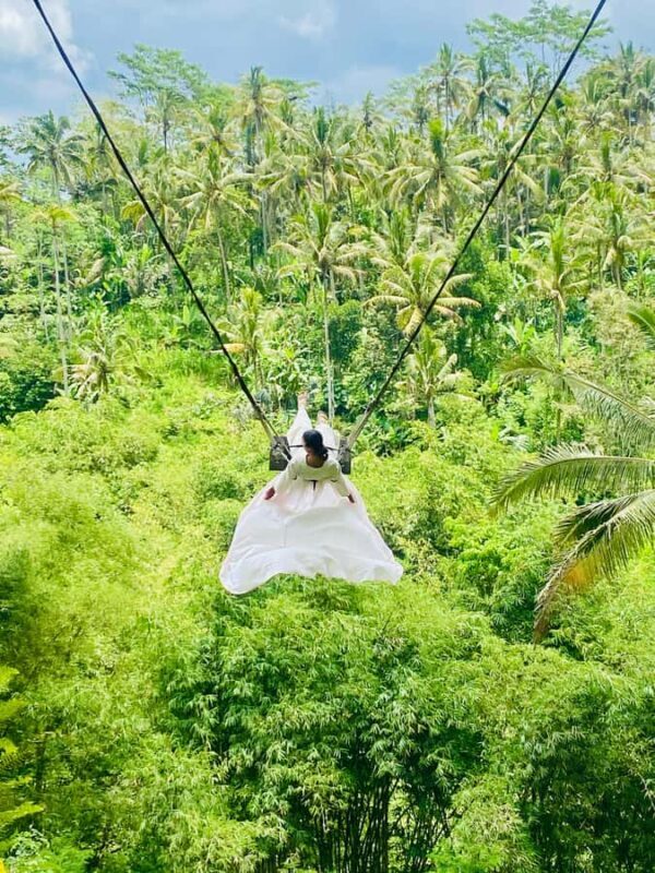 Exclusive Bali: Heaven's Gate, Tirta Gangga & Epic Swing - Final Thoughts