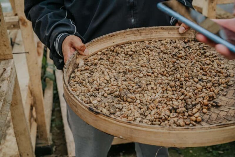 Exclusive Bali Highlights Tour from Celukan Bawang Port - FAQs