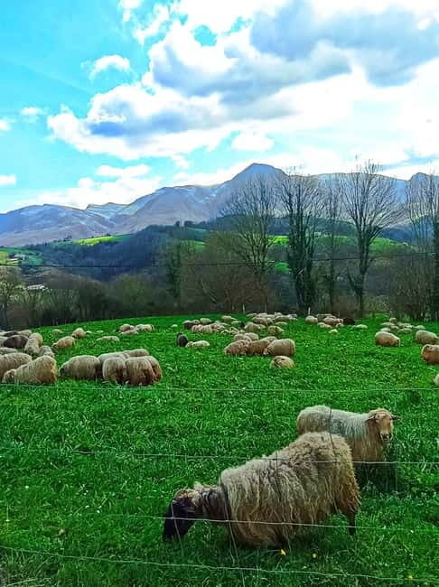 Exclusive Basque countryside - Good To Know