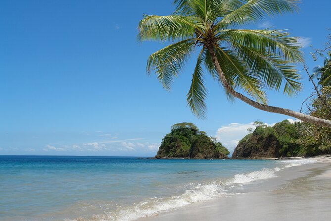 Exclusive Beach Day Tour to Punta Leona From San Jose - Inclusions and Exclusions