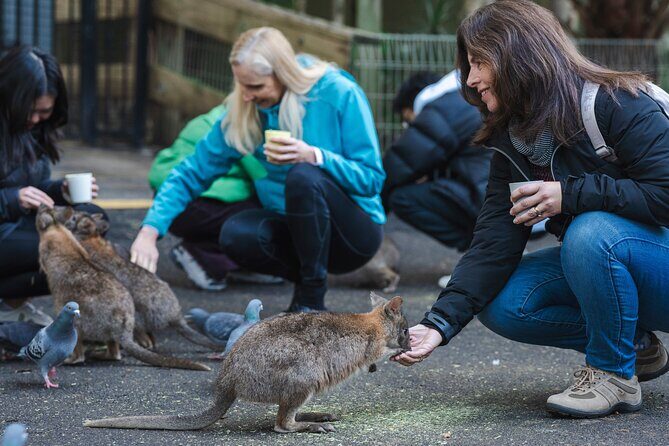 Exclusive Blue Mountains Wildlife and Bushwalk Tour From Sydney - The Complete Blue Mountains Experience