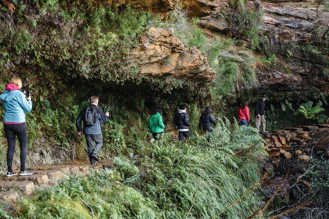 Exclusive Blue Mountains Wildlife and Bushwalk Tour From Sydney - The Sum Up