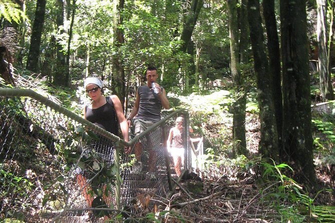 Exclusive Blue Mountains Wildlife and Bushwalk Tour From Sydney - FAQ