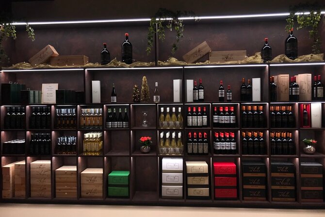 Exclusive Bolgheri From Florence: the Land of the Super Tuscan - Overview of the Bolgheri Region