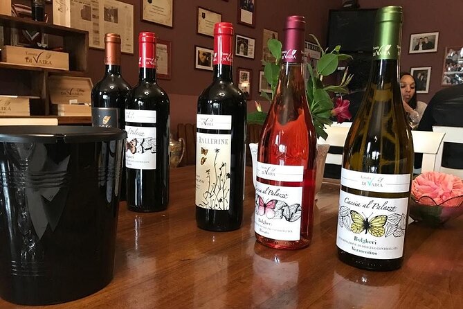 Exclusive Bolgheri From Florence: the Land of the Super Tuscan - Reviews and Ratings From Past Customers