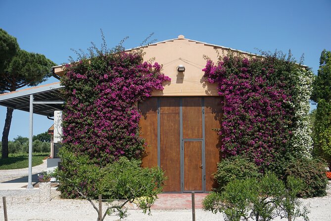 Exclusive Bolgheri From Florence: the Land of the Super Tuscan - Pricing, Availability, and Additional Information