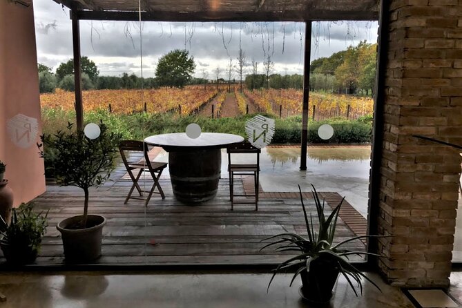 Exclusive Bolgheri From Florence: the Land of the Super Tuscan - Common Questions