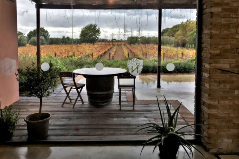 Exclusive Bolgheri Full-Day Wine Tour from Florence - Good To Know