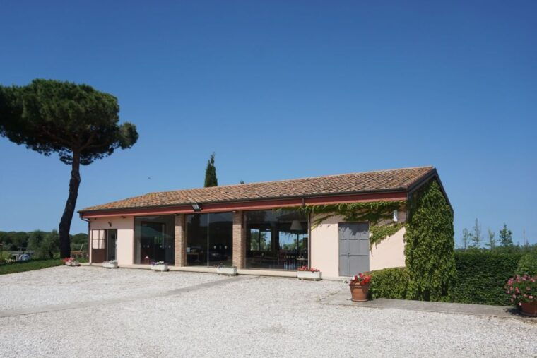Exclusive Bolgheri Full-Day Wine Tour from Florence - What Makes This Tour Special