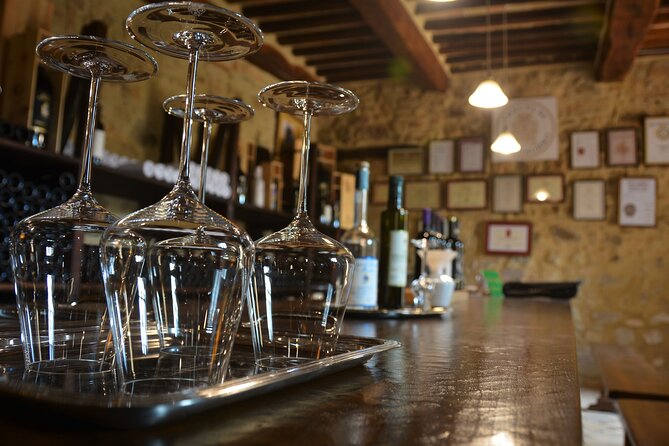 Exclusive Brunello Di Montalcino Day Trip From Florence - Overview of Montalcino Day Trip