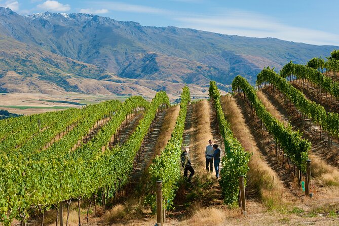 Exclusive Central Otago Wine Tour - Departs Queenstown - Inclusions