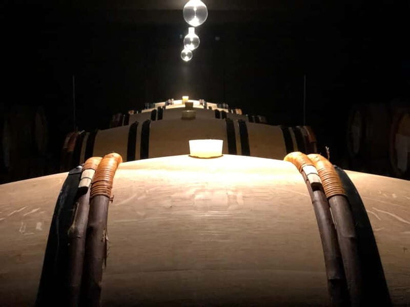 Exclusive Champagne tour: 2 family houses and restaurant - What’s Included and What’s Not