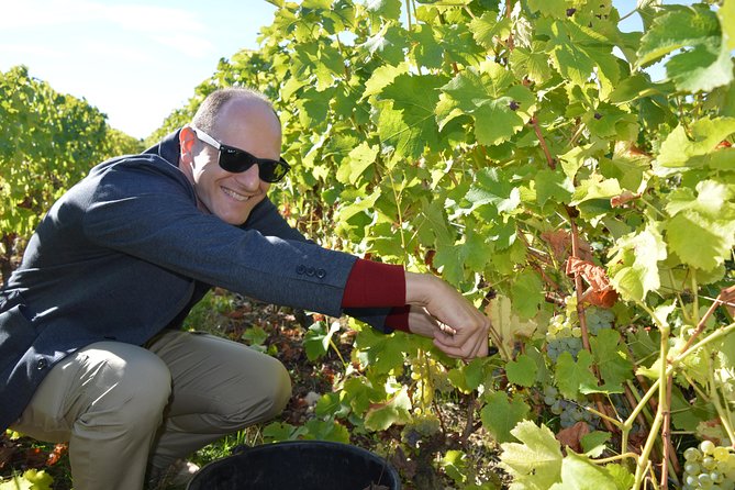 Exclusive Champagne Tour From Paris Including 3 House Visits - Practical Information