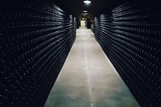 Exclusive Champagne Tour From Paris Including 3 House Visits - The Sum Up