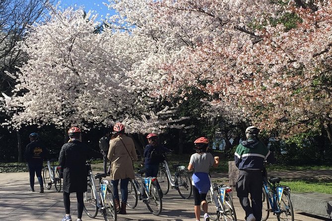 Exclusive: Cherry Blossom Bike Tour in Washington DC - Pricing and Booking Details
