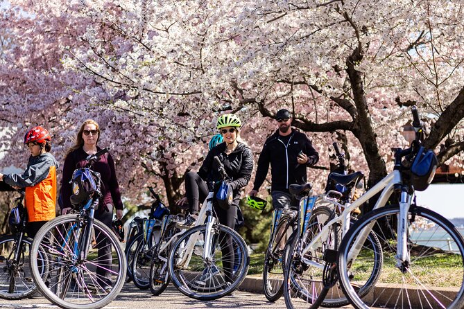 Exclusive: Cherry Blossom Bike Tour in Washington DC - Meeting and Pickup Details