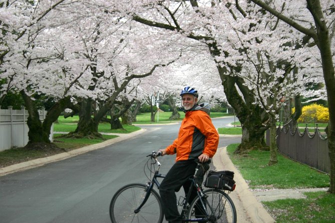 Exclusive: Cherry Blossom Bike Tour in Washington DC - Background Information