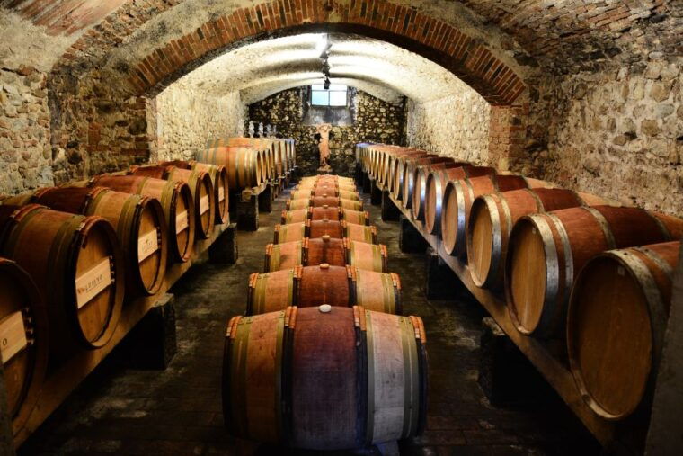 Exclusive Chianti Classico Day Trip from Florence - Practical Details: Transport, Timing, and Group Size