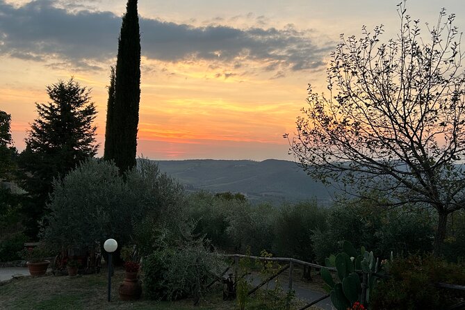 Exclusive Chianti Classico Day Trip From Florence - Overview and Itinerary