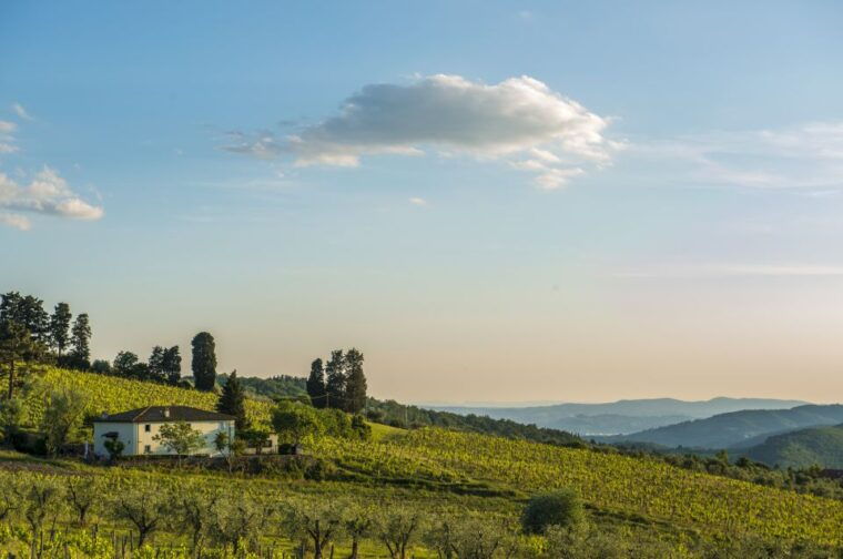Exclusive Chianti Rufina Half-Day with lunch from Florence - The Itinerary Breakdown