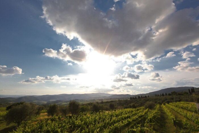 Exclusive Chianti Rufina Half-Day with lunch from Florence - Who Is This Tour Best For?