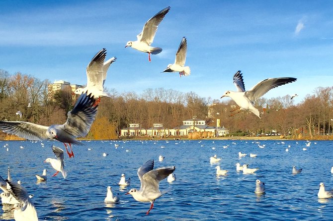 Exclusive Classic Car Tour Through the Posh Districts on the Alster - The Sum Up
