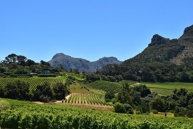 Exclusive Constantia: Private Tour of Cape Towns Wine Country - Additional Information