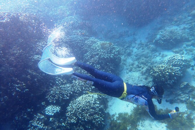 Exclusive Coral Reef Snorkeling Experience Unveiled - Tour Highlights