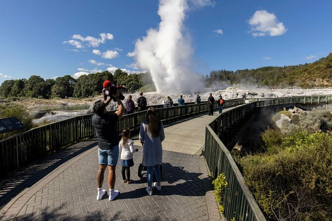 Exclusive Day Trip From Te Puia to Wine Tasting and Redwoods - Exploring the Majestic Redwoods