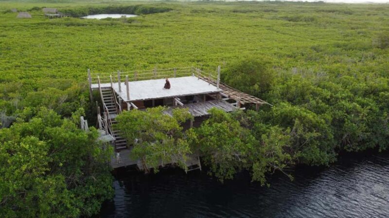 Exclusive dining experience next to a cenote in Tulum - Who Is This Tour Best For?