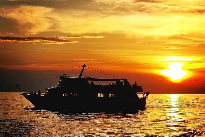 Exclusive Dolphin & Sunset Cruise With Dinner & Drinks From Pula - Customer Reviews