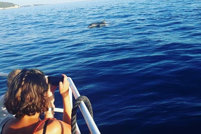 Exclusive Dolphin & Sunset Cruise With Dinner & Drinks From Pula - Frequently Asked Questions
