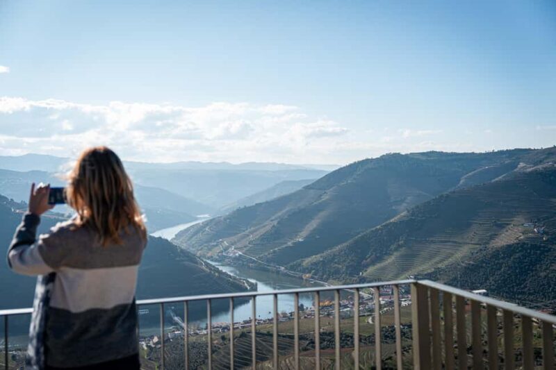 Exclusive Douro Valley: 3 Wineries, 9 Wine Tastings & Lunch - Transportation and Group Size