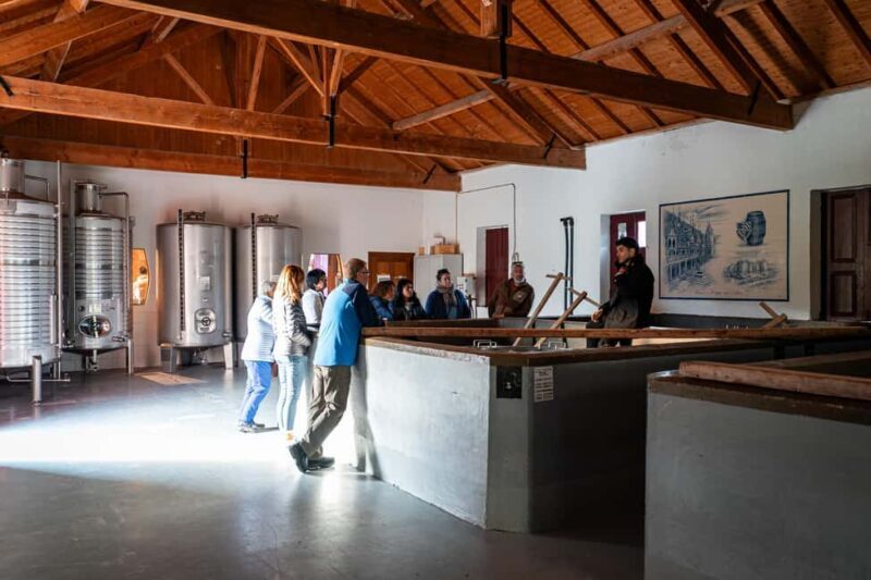 Exclusive Douro Valley: 3 Wineries, 9 Wine Tastings & Lunch - The Sum Up