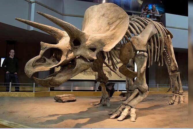 Exclusive Drumheller Private Tour from Calgary - Good To Know