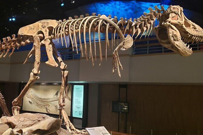 Exclusive Drumheller Private Tour from Calgary - FAQ