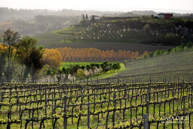 Exclusive Evening Wine Tasting at Organic Winery - Additional Information