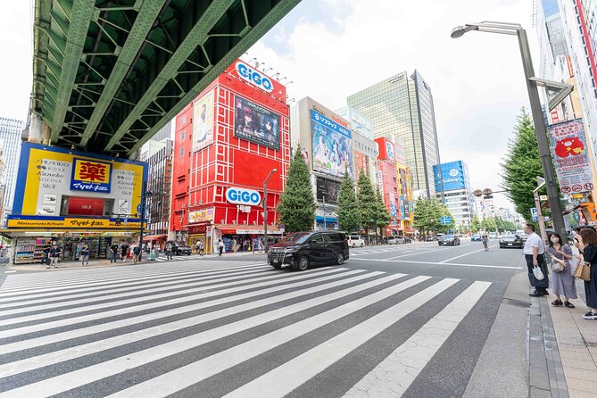 Exclusive Experience: Tailored Anime & Culture Tour in Akihabara - The Sum Up