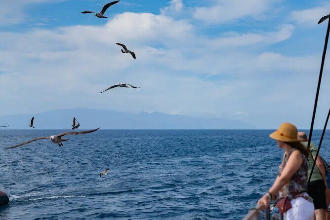 Exclusive Freebird Catamaran Whale & Dolphin to Masca From North - The Itinerary in Detail