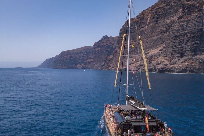Exclusive Freebird Catamaran Whale & Dolphin to Masca From North - Who Should Consider This Tour?