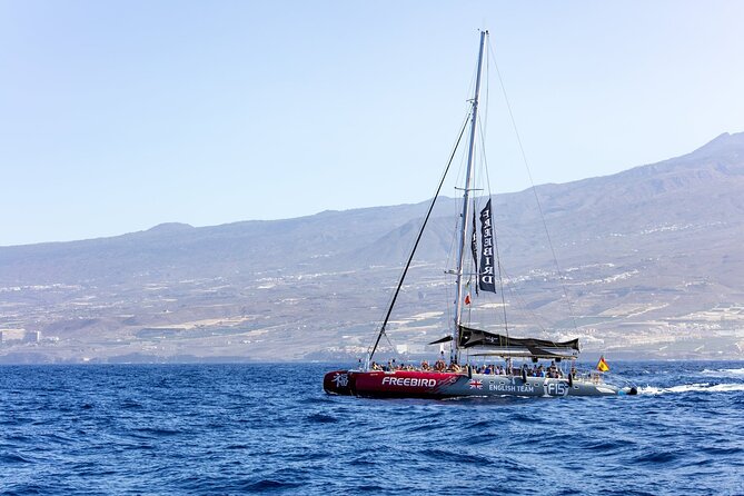 Exclusive Freebird Catamaran Whale & Dolphin to Masca From South - Additional Information