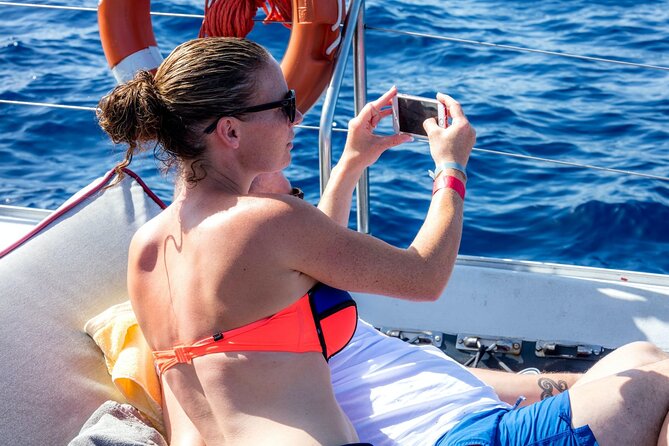 Exclusive Freebird Catamaran Whale & Dolphin to Masca From South - Contact and Pricing Information