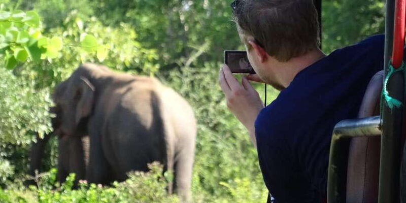 Exclusive : Full-Day Leopard Safari Yala With Picnic Lunch - Good To Know