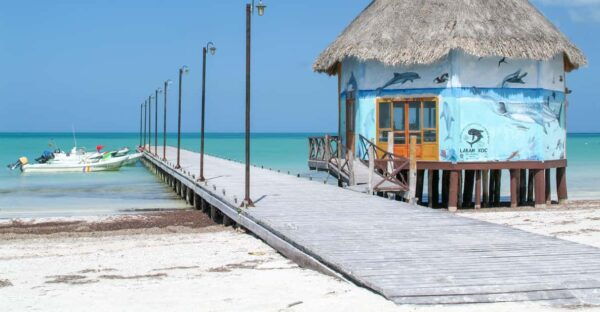 Exclusive Full Day Nature Expedition to Holbox Island - Exclusive Hotel Lunch